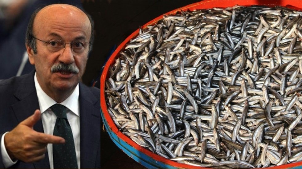 CHP'li Bekaroğlu &ccedil;&ouml;z&uuml;m yolunu buldu: &ldquo;Hamsi Komisyonu kurulsun, sorunlar &ccedil;&ouml;z&uuml;ls&uuml;n&rdquo;