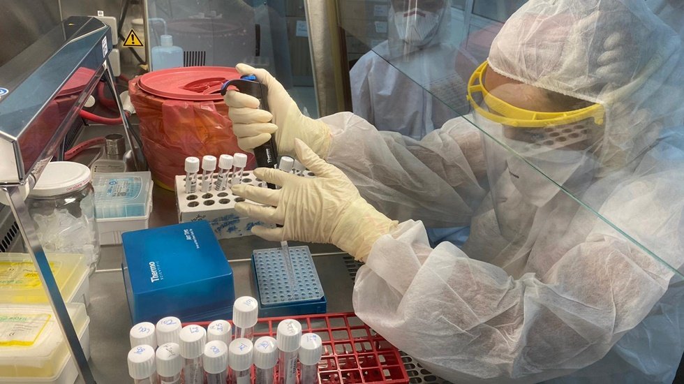 'Genetik hayaletler' araştırması Covid'in kaynağını buldu