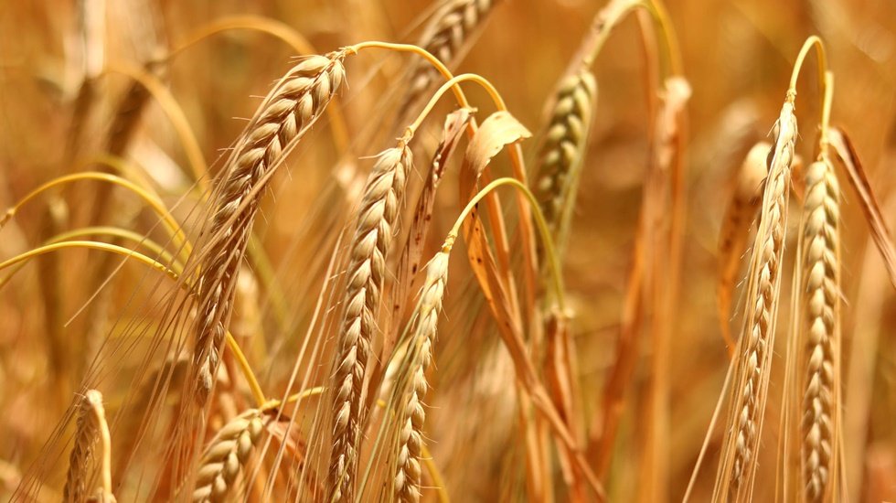Boğazi&ccedil;ili akademisyenler araştırdı: &Ccedil;ift&ccedil;iler ne istiyor?