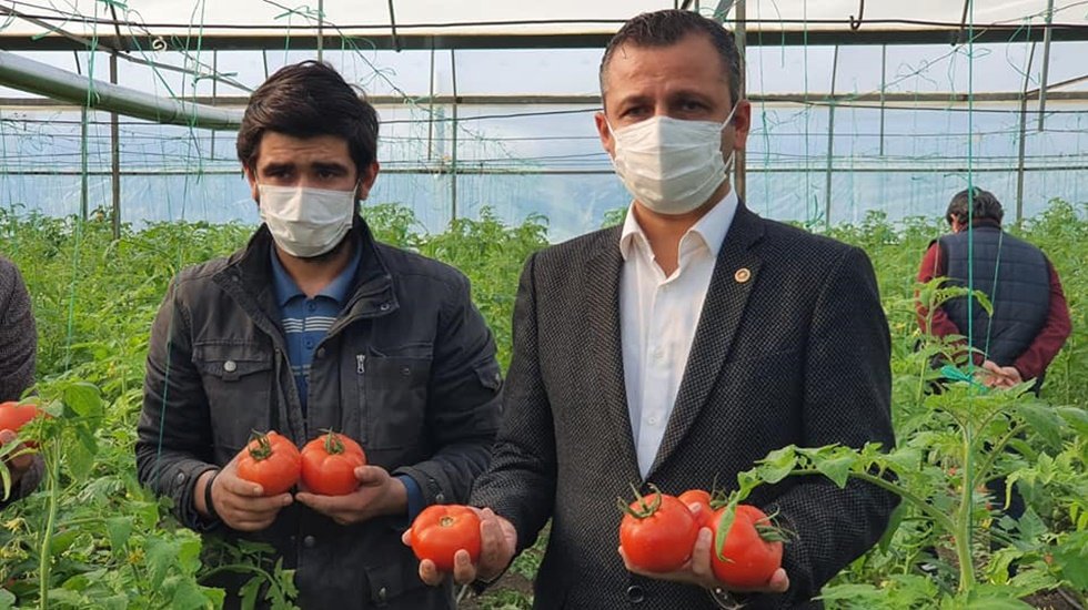 CHP&rsquo;li Erbay: Rusya&rsquo;nın domatese uyguladığı kota i&ccedil;in gerekli girişimler başlatılmalı