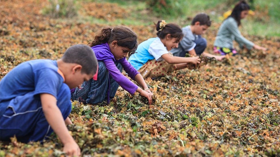 Kapitalizm... &Ccedil;ocuk iş&ccedil;ilerin sayısı, 160 milyona y&uuml;kseldi!