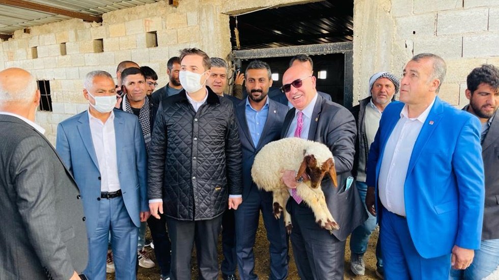 Meclise damga vuran olay: Koyunlar g&ouml;zaltına alındı!