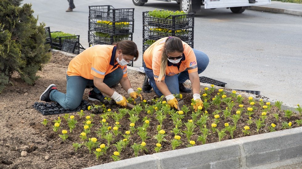 Mersin yeşile b&uuml;r&uuml;n&uuml;yor