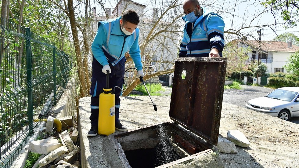 Sineksiz bir yaz için mücadeleye devam