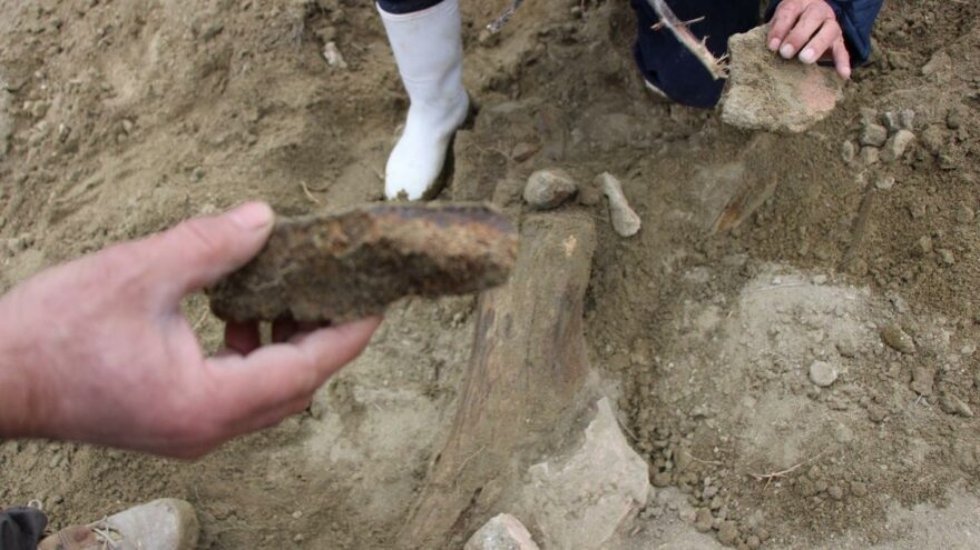 ABD&rsquo;de bir evin havuz inşaatında Buz &Ccedil;ağı fosili bulundu