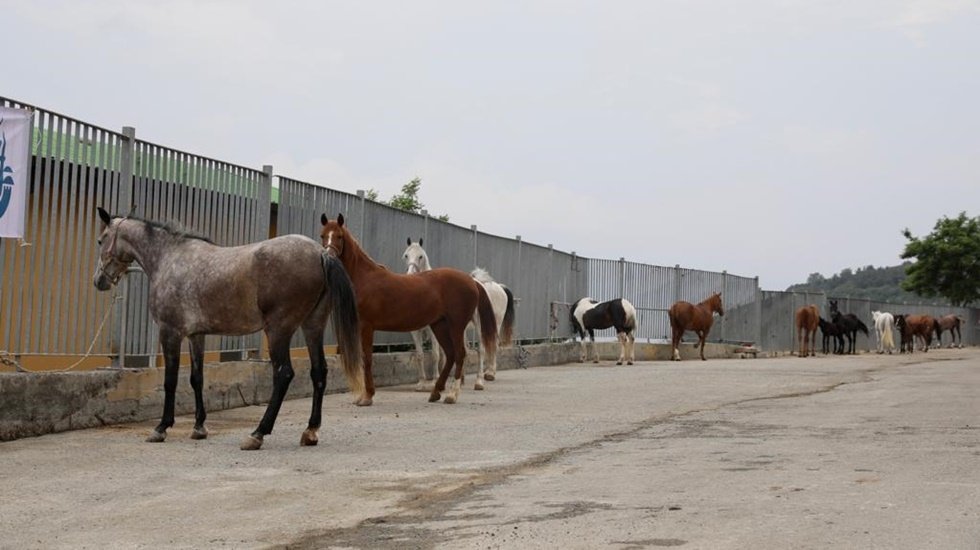 Mevzuat açık: Sevkiyat bitince İBB’nin sorumluluğu da biter