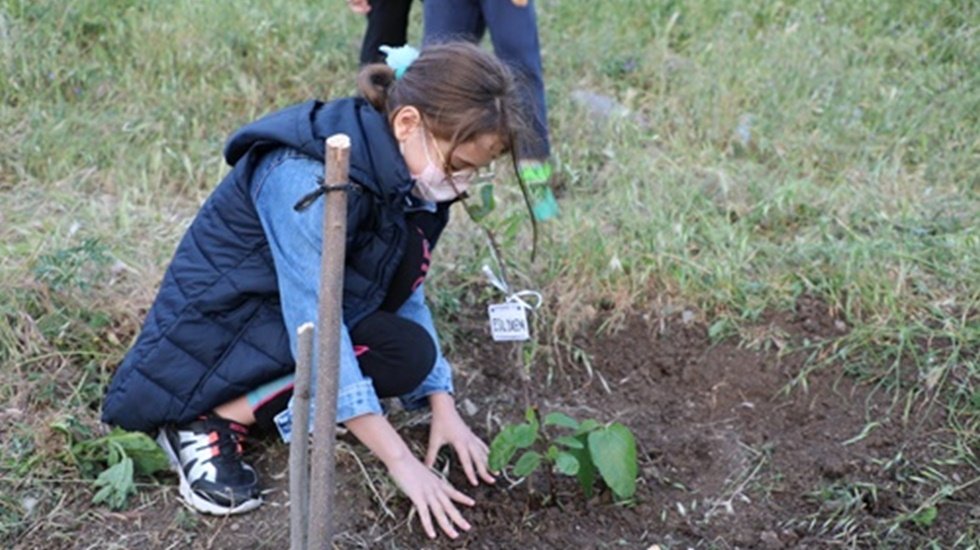 İlkadım&rsquo;da İmece usl&uuml; dikilen fidanlar yarınlara nefes olacak