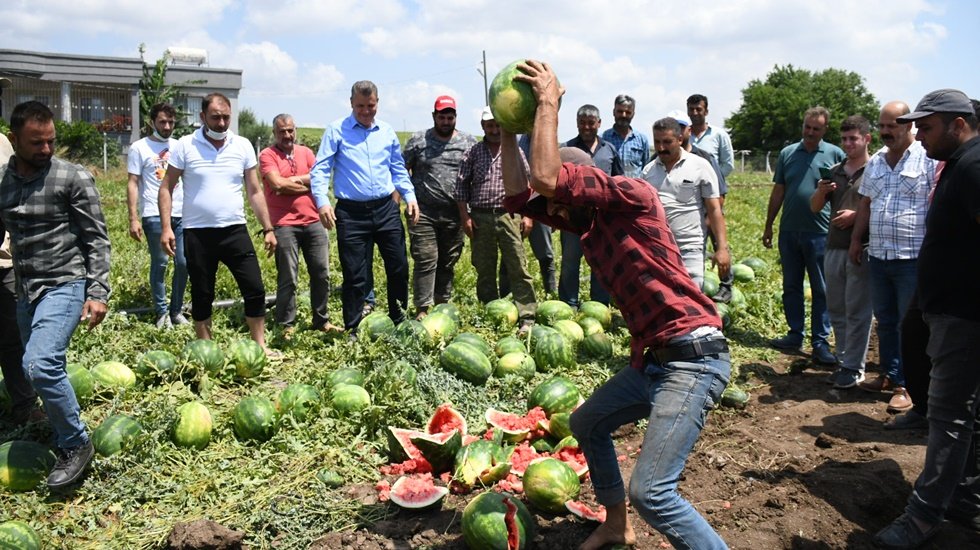 Karpuz &uuml;reticileri isyan etti: "Yaktınız bizi, mahvettiniz"