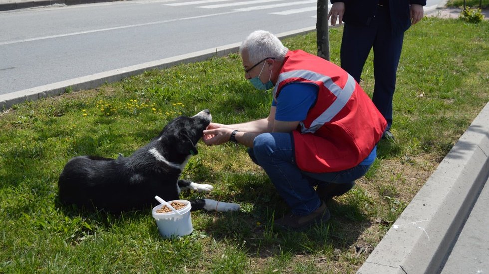 KİHAYKO can dostları unutmadı!