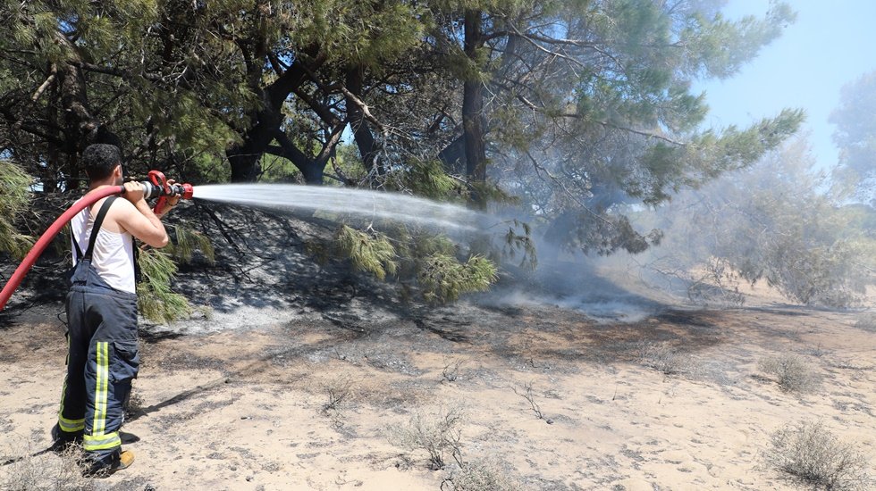 Lara ormanındaki yangına B&uuml;y&uuml;kşehir İtfaiyesi m&uuml;dahale etti&nbsp;