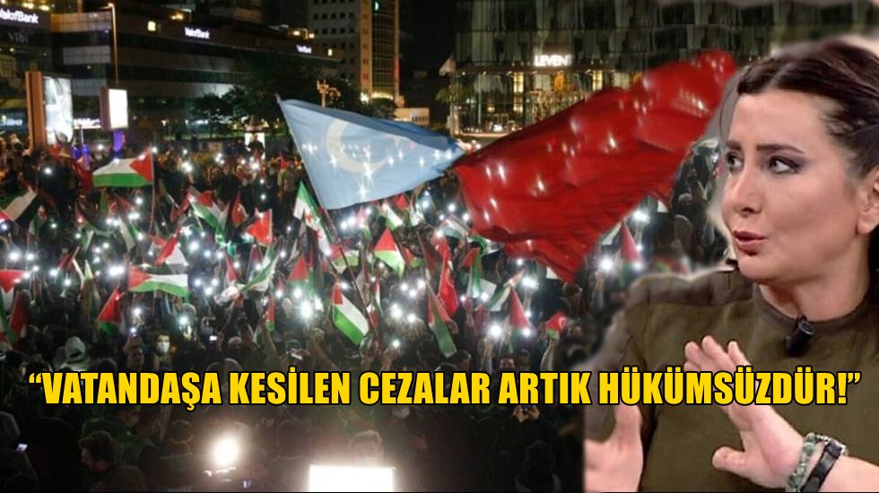Sevilay Yılmaz&rsquo;dan h&uuml;k&uuml;meti kızdıracak yazı&hellip;