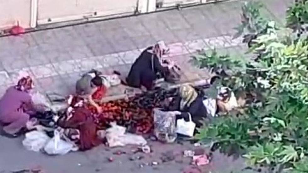 U&ccedil;an T&uuml;rkiye'nin s&uuml;r&uuml;nen insanları karınlarını doyurmak i&ccedil;in &ccedil;&ouml;pe akın ettiler&hellip;