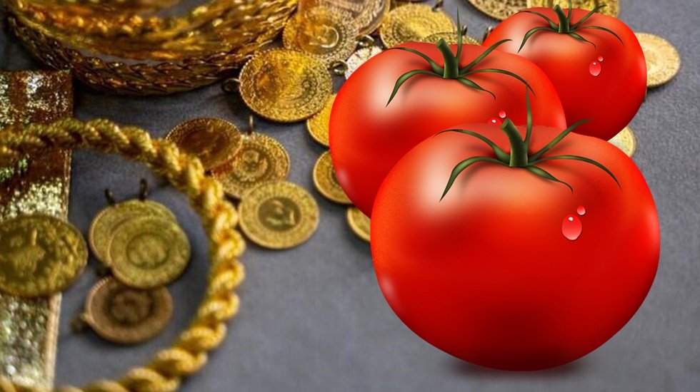 Domates fiyatı 2 katına &ccedil;ıkacak