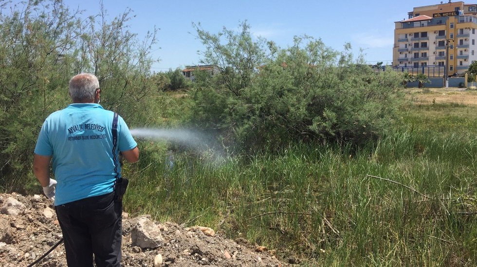Yaz geldi sivrisinekle kesintisiz m&uuml;cadele