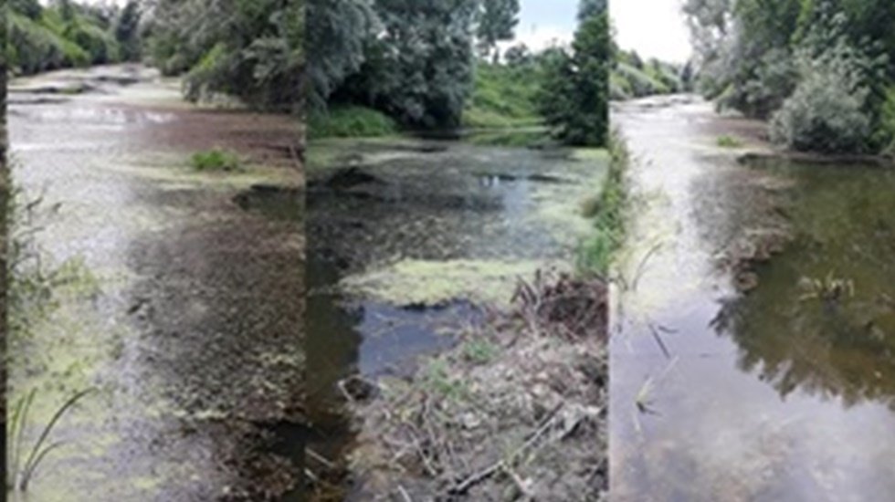 Eğercili BES Suyunu Abdal Irmağına Deşarj Ederek Kirletiyor!