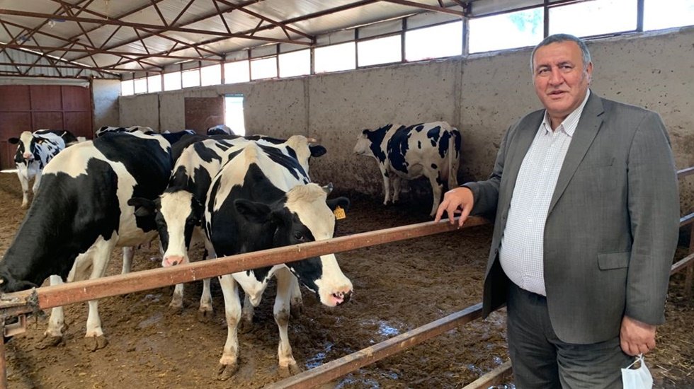 S&uuml;mer atas&ouml;z&uuml;: "G&uuml;m&uuml;ş&uuml; ve altını olanlar, &ouml;k&uuml;z&uuml;, koyunu ve arpası olanların kapısında bekler"