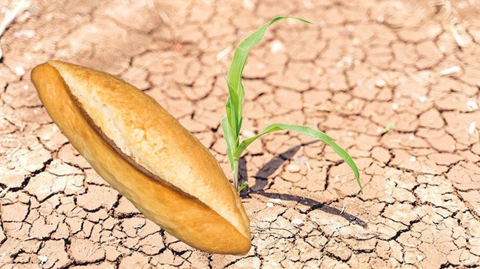 Ani hava değişiklikleri&nbsp; &ouml;l&uuml;m, g&ouml;&ccedil;, a&ccedil;lık, ruh sağlığının bozulması, yeni hastalıkları getirecektir...