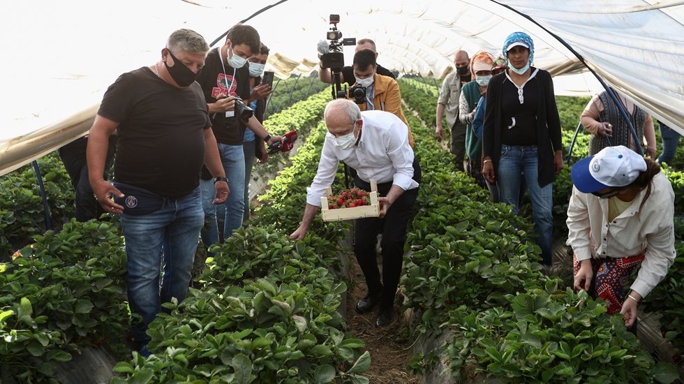 Kılı&ccedil;daroğlu, &ccedil;ift&ccedil;i kadınlarla &ccedil;ilek topladı