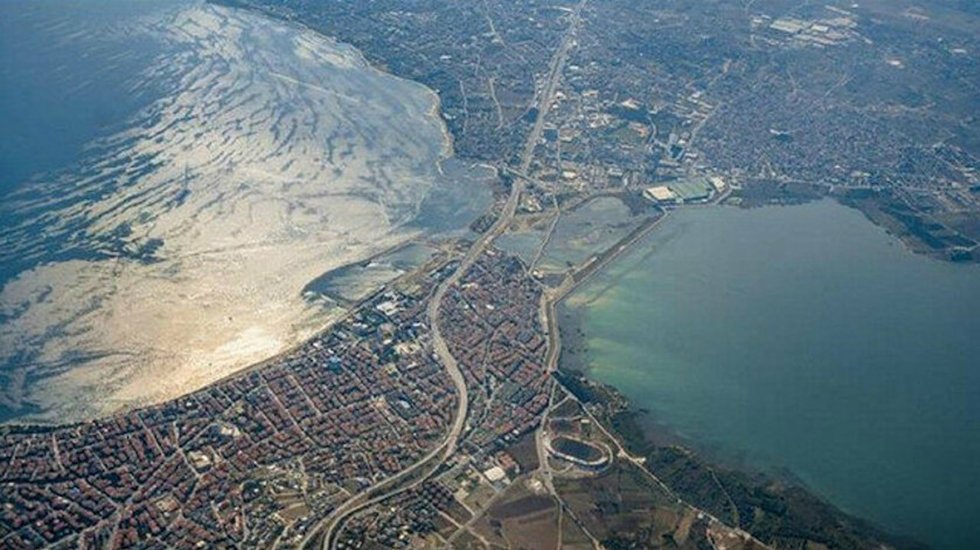 Deniz salyası, vir&uuml;s&uuml; yayıp hastalıkların artmasına neden olabilir