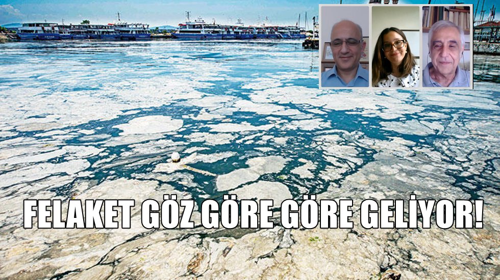 Marmara Denizi'ndeki &ccedil;evresel yıkım beklenmedik yeni salgınlara yol a&ccedil;abilir
