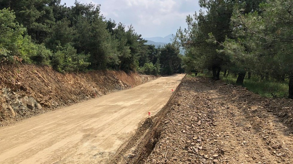 “Yol çalışması bahanesiyle yüzlerce adet asırlık çam ağacı katledildi”