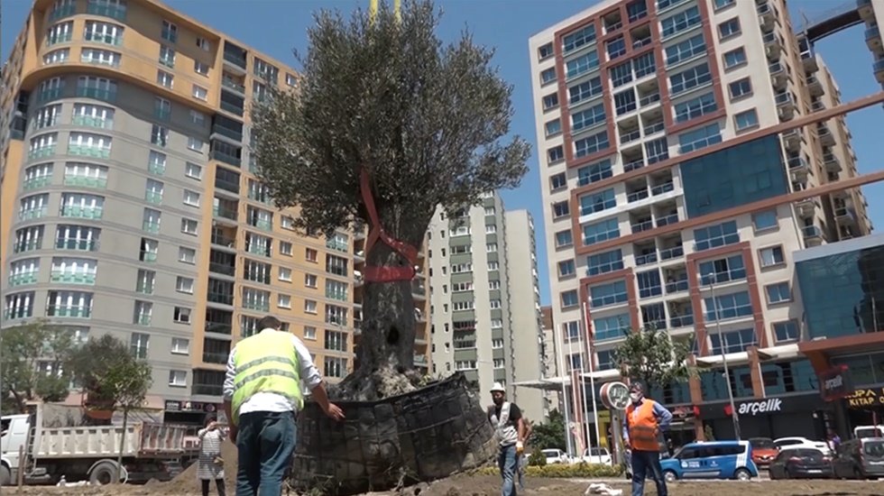 Geçmişin Betonyurt’u Yeşil Esenyurt olma yolunda hızla ilerliyor