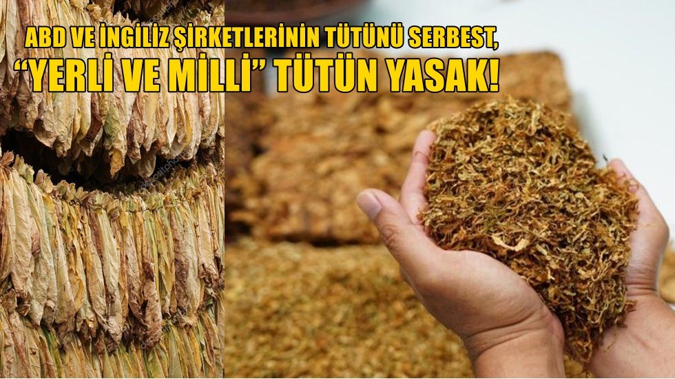 CHP&rsquo;den &ldquo;T&uuml;t&uuml;n &Uuml;reticilerini Korumak İ&ccedil;in&rdquo; Araştırma &Ouml;nergesi
