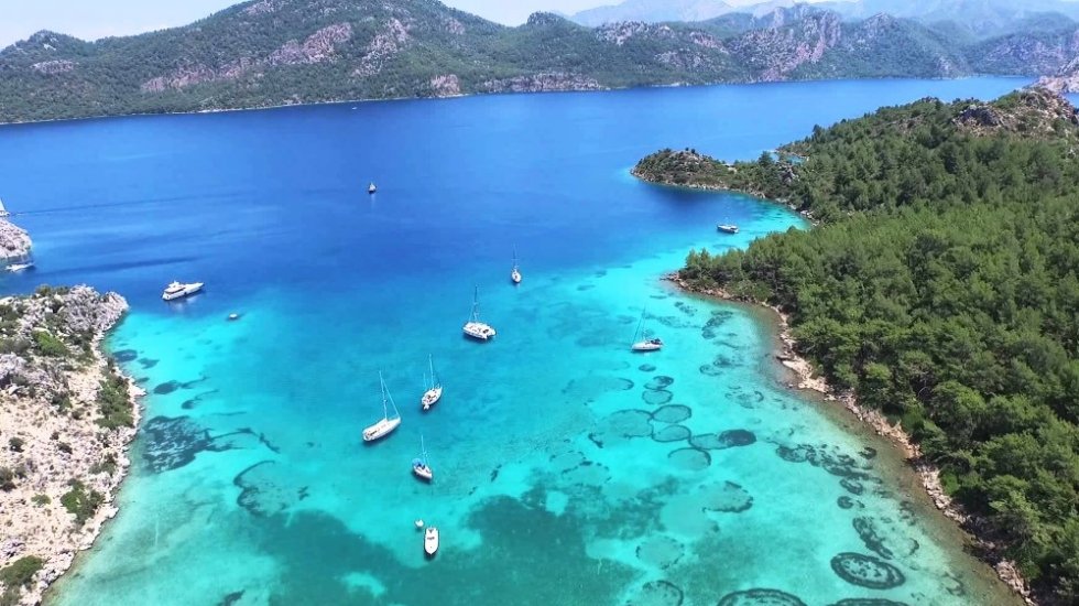 İktidara yakınlığıyla bilinen şirkete ormanlık alana otel yapma izni verildi