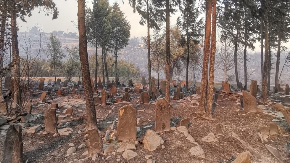 Tarım ve Orman Bakanı Pakdemirli de kamuoyundan &ouml;z&uuml;r dilemelidir