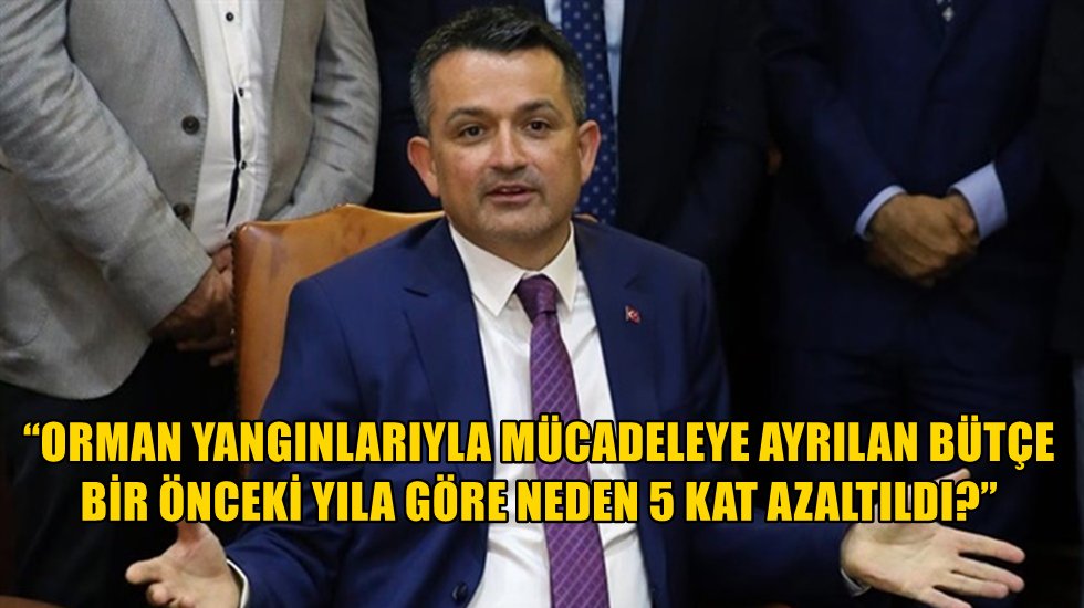 CHP&rsquo;li Karabat sormuş Pakdemirli, ka&ccedil;amak yanıt vermiş