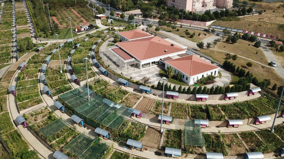 İstanbul'da şehrin ortasında organik tarım