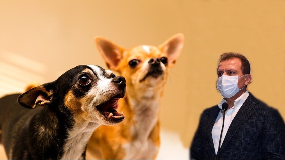 K&ouml;pek havlamasından &uuml;rken polis memuru Belediye Başkanı Vahap Se&ccedil;er'den şikayet&ccedil;i oldu