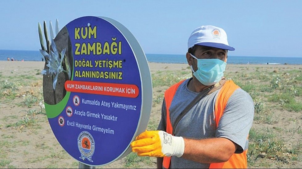 ‘Kum zambakları’ koruma altında