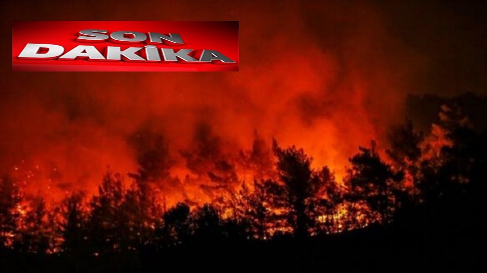 Orman yangınlarından etkilenen yerler i&ccedil;in m&uuml;cbir sebep hali ilan edildi