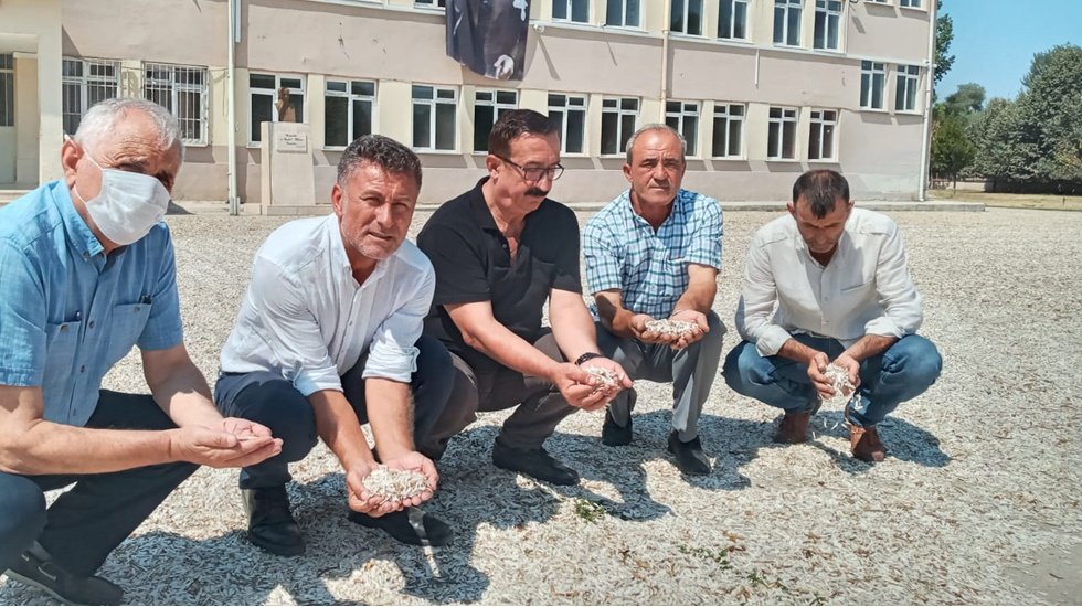 Maliyetler %100 arttı, ay&ccedil;i&ccedil;eği fiyatı yarı yarıya azaldı