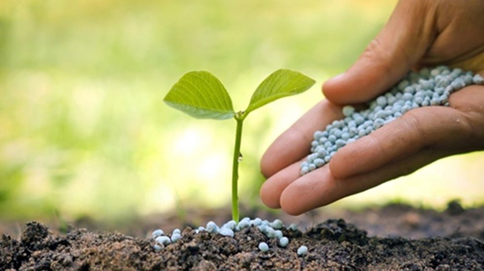 G&uuml;bre fiyatlarındaki artışlar &ouml;zelleştirmelerin sonucudur