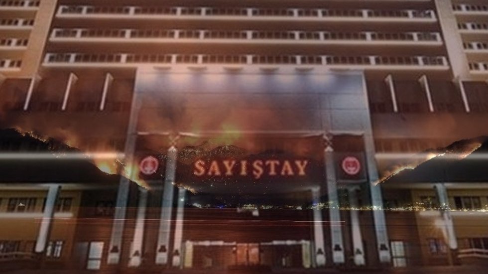 Sayıştay Raporu Muğla&rsquo;daki orman yangınlarında ihmal olduğunu ortaya koydu &nbsp;