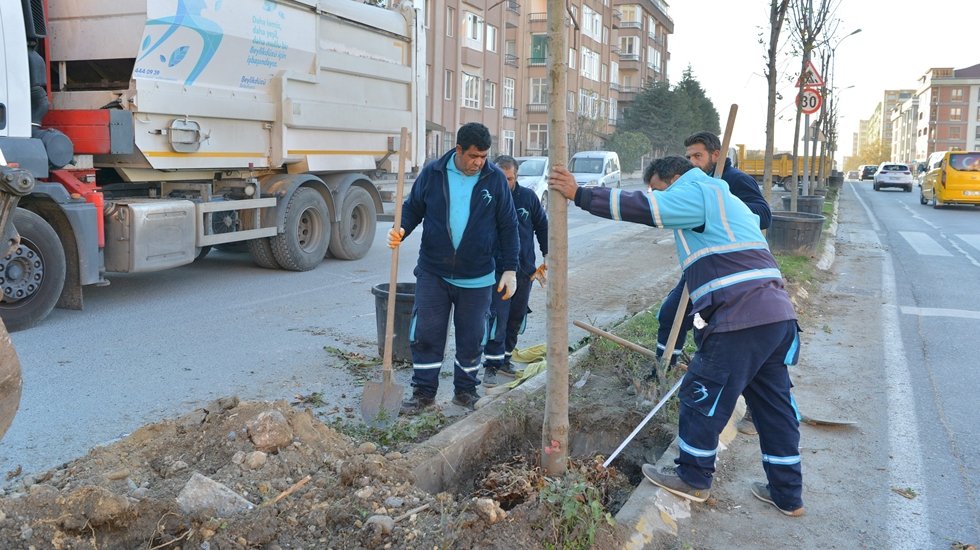 Beylikdüzü'nde ağaçlandırma çalışmaları devam ediyor