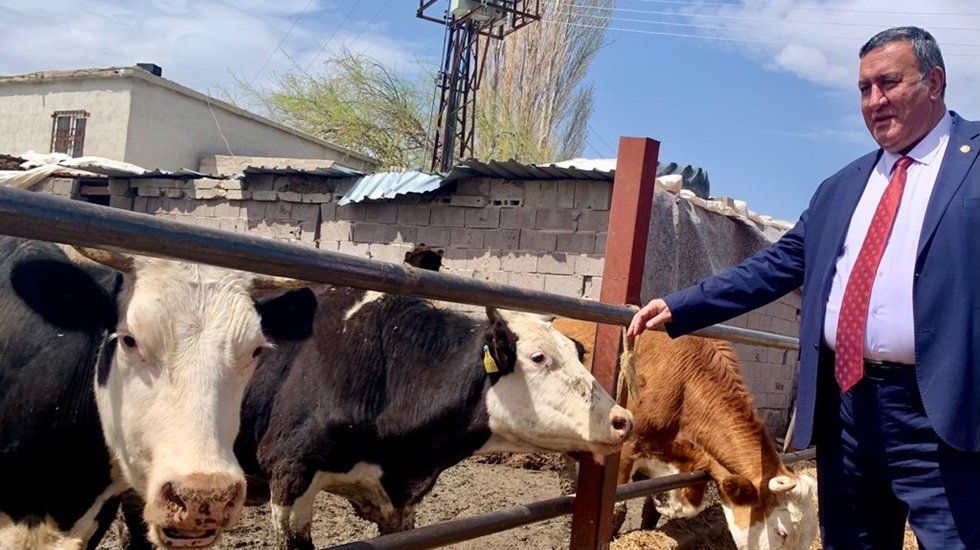 Hastalık nedeniyle 2020’de 24 bin hayvan telef oldu!