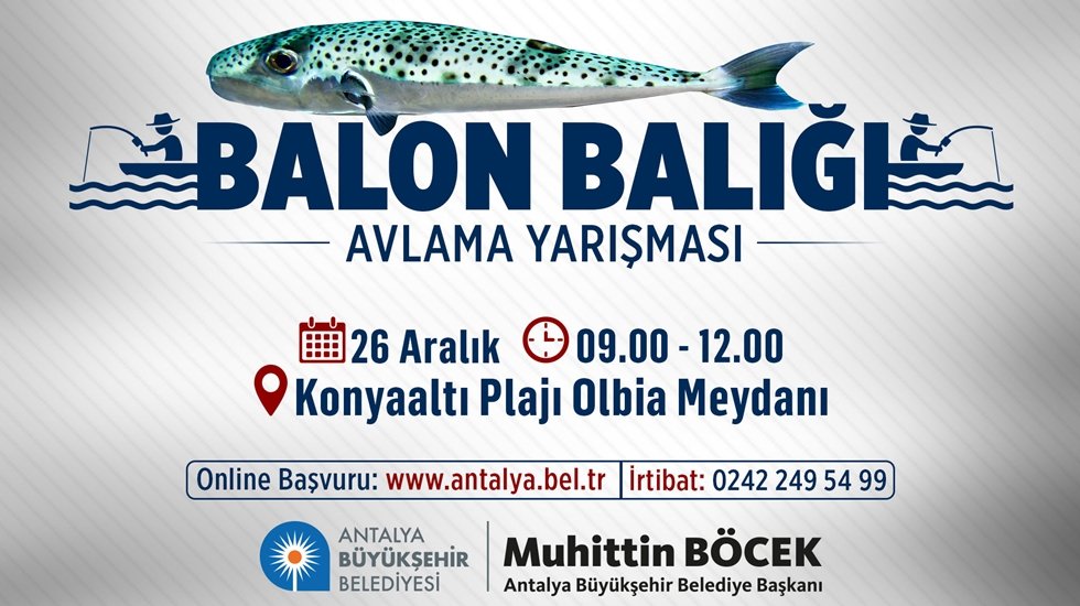 Oltacılar zehirli balon balığı için yarışacak
