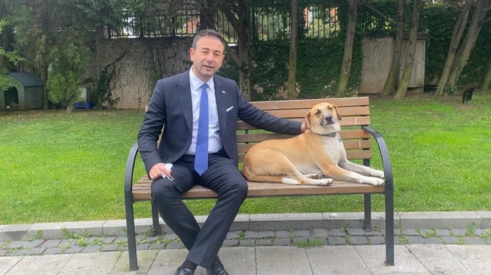 Beşiktaş’ta Veteriner İşleri Müdürlüğü gece gündüz kesintisiz hizmet verecek