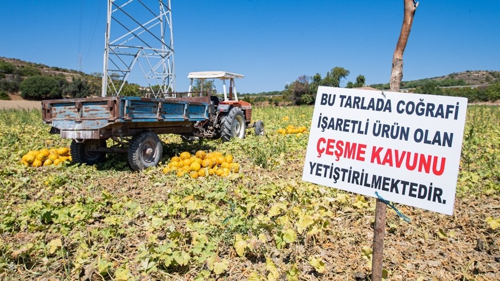 B&uuml;y&uuml;kşehir &uuml;retici kooperatiflerinden 164 milyon lirayı aşan alım yaptı