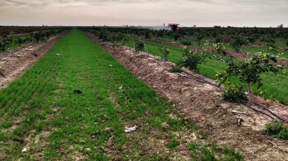 &Ccedil;ift&ccedil;inin tek başına ektiği &uuml;r&uuml;n, maliyeti bile kurtarmıyor
