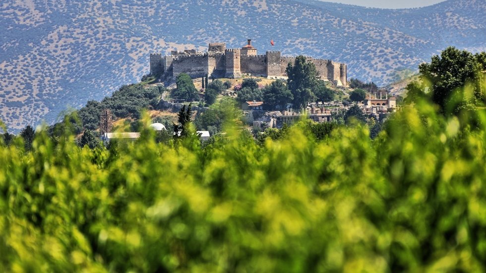 Efes Sel&ccedil;uk&rsquo;ta doğa dostu verimli tarımsal &uuml;retim buluşması