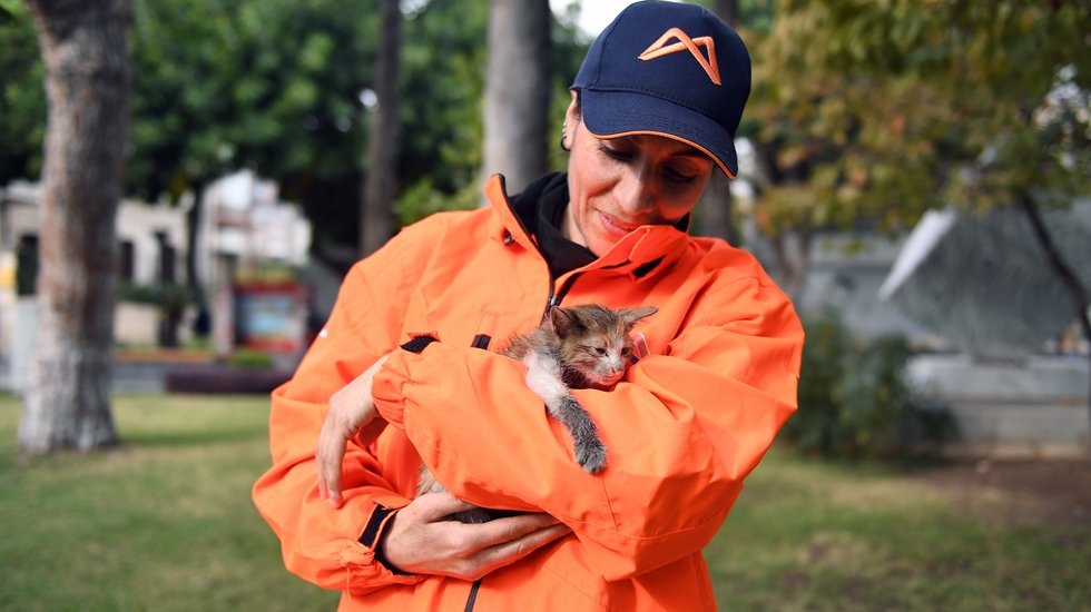 Hayvan dostu belediye personeli araba tekerleğine sıkışan yavru kediyi kurtardı