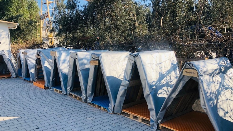 Hayvan severlerden kış günlerinde sokak hayvanlarına kulübe