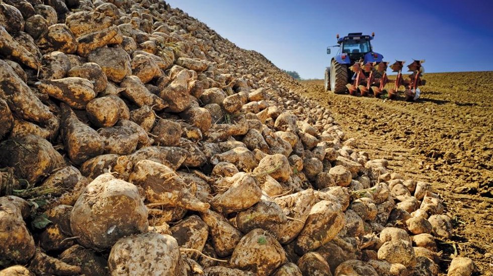 Pancar &uuml;reticisinin sorunları meclis g&uuml;ndeminde