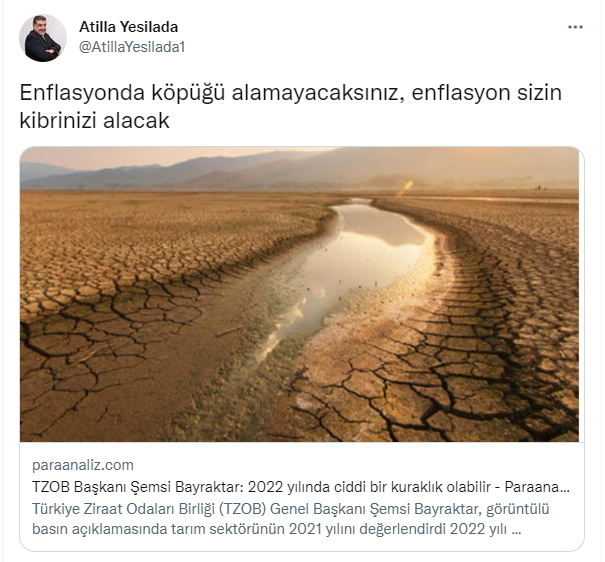 https://yenisoluk.com/uploads/2022/01/yesilada