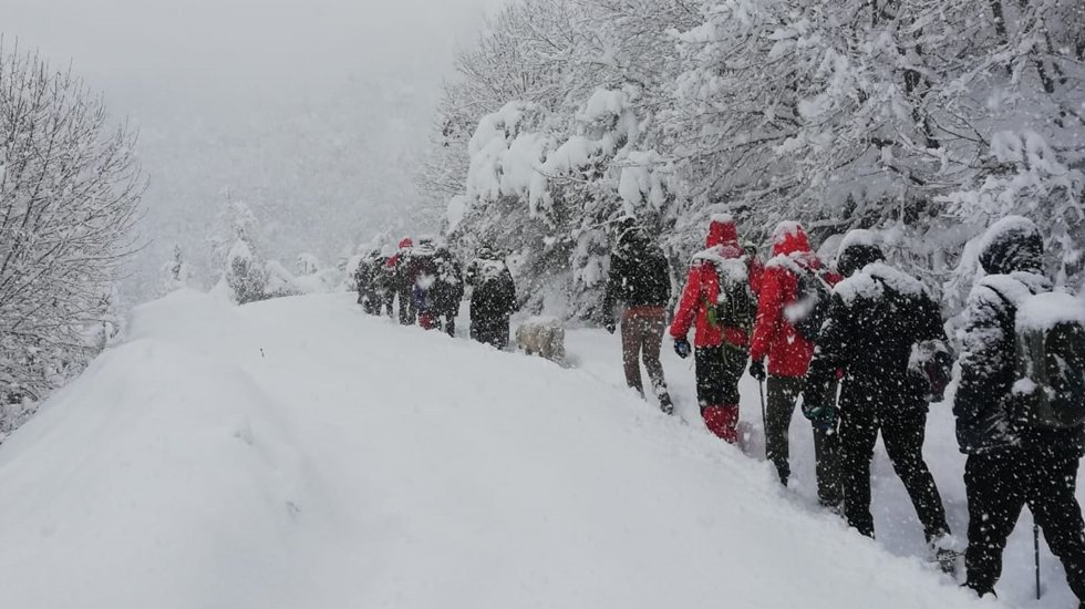 Y&uuml;r&uuml;y&uuml;ş severler Kent Ormanı&rsquo;nın tadını &ccedil;ıkardı