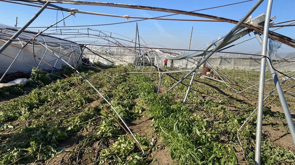CHP'li vekil isyan Etti: "Elektrik fiyatlarını ucuzlatmazsanız &ccedil;ift&ccedil;ilerimiz &uuml;retimden uzaklaşacak"